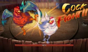 Đá Gà 3D Tại BJ88