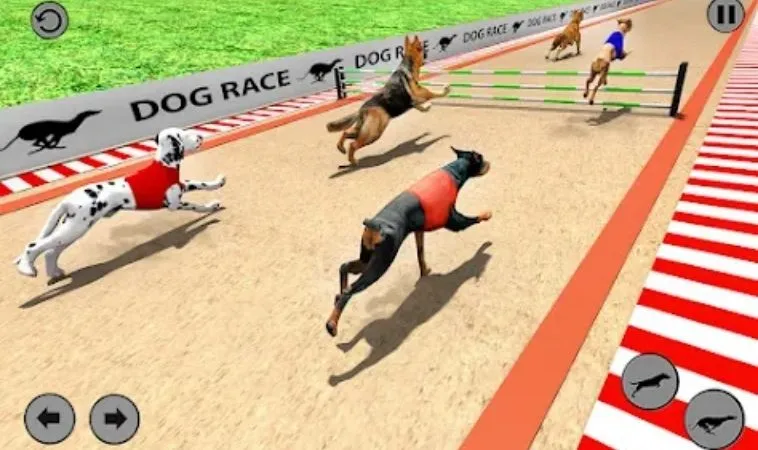 Cách chơi game nhanh Đua Chó Tại BJ88