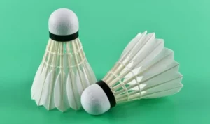 Cầu Lông tại BJ88