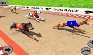 Đua Chó Tại BJ88